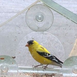 Meet your Posher, Carolyn